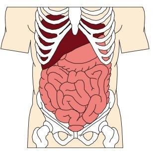 溃疡性结肠炎病人能吃羊肉吗