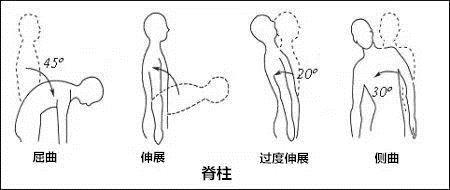 强直性脊柱炎只有男性会得吗