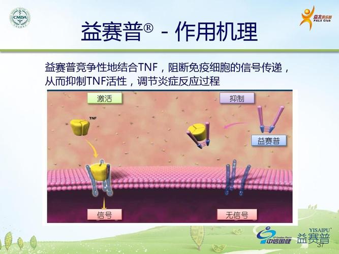 强直性脊柱炎接种新冠疫苗会怎样