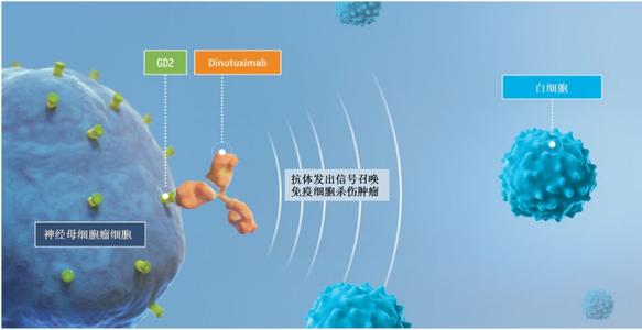 神经母细胞瘤