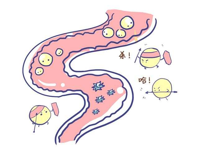 急性肠炎与溃疡性结肠炎