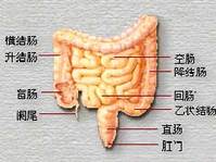 特异性溃疡性结肠炎