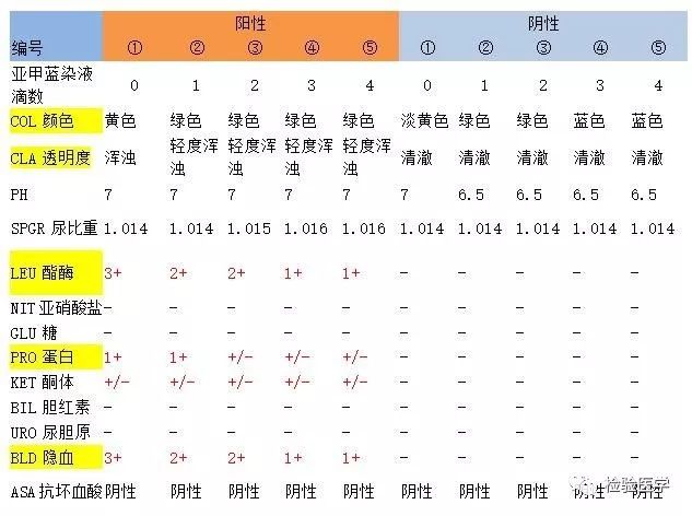 对一例「蓝绿色尿液」的侦探之路