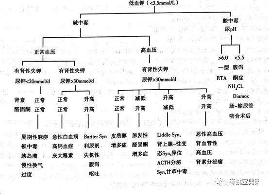 远端肾小管酸中毒