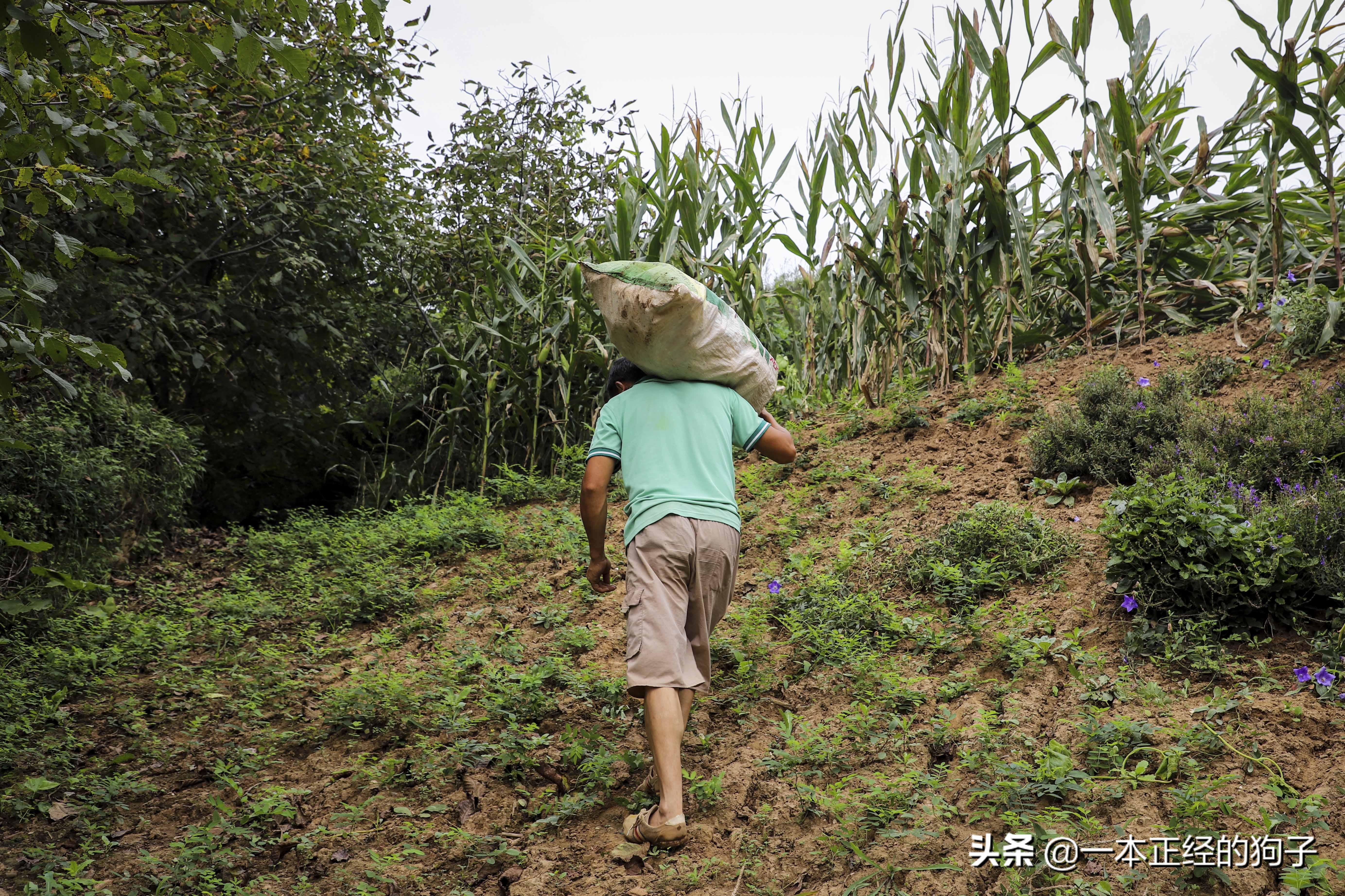 河南10岁女孩每天靠吃“伟哥”续命，医生：药千万不能停