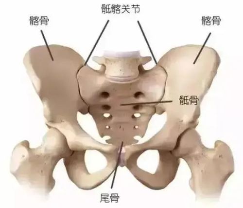 强直性脊柱炎臀部疼痛如何痊愈