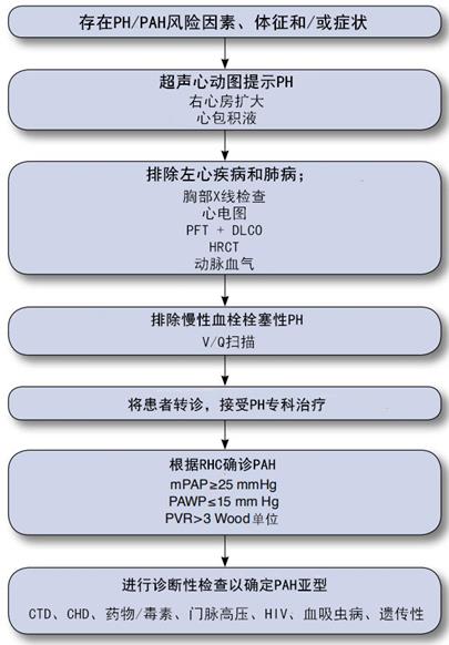 六张图表带你走进肺动脉高压的评估和处置