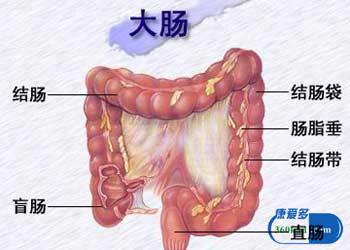 溃疡性结肠炎缓解期癌变