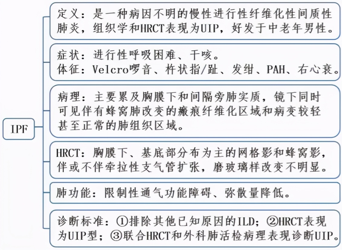 不可治愈慢性肺疾病，关注罕见病系列之特发性肺纤维化