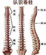 强直性脊柱炎用什么实验