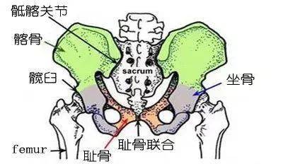 腿关节痛是强直性脊柱炎吗