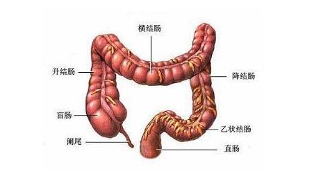 溃疡性结肠炎跟肠癌的区别