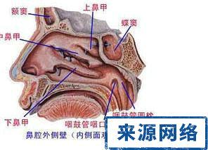 鼻咽癌