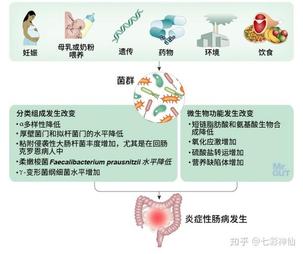 溃疡性结肠炎胆汁酸的变化