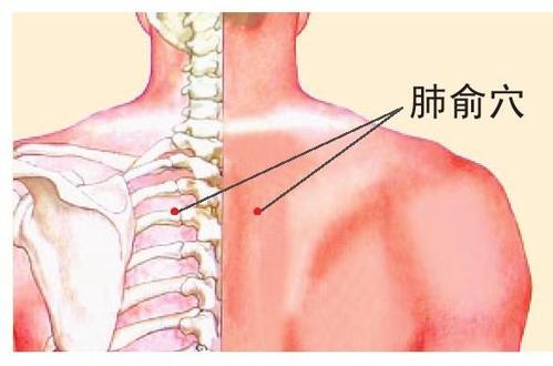 强直性脊柱炎胸椎疼痛肺里有痰