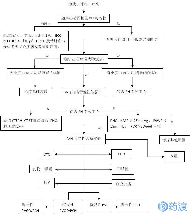 一文尽识“肺动脉高压”及其治疗药物