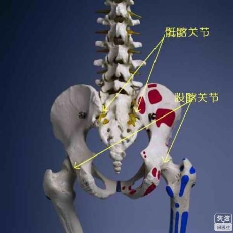 家族强直性脊柱炎史后代怎么预防