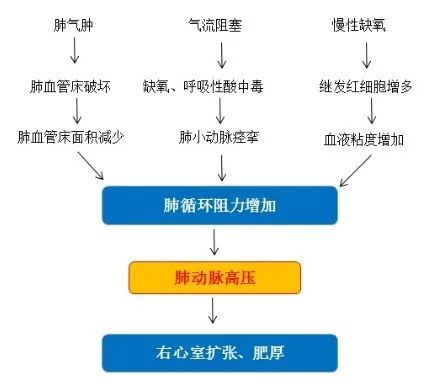 陈亚红：慢阻肺合并重度肺动脉高压的治疗丨CACP 2019