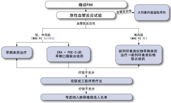 六张图表带你搞定肺动脉高压的评估和处置