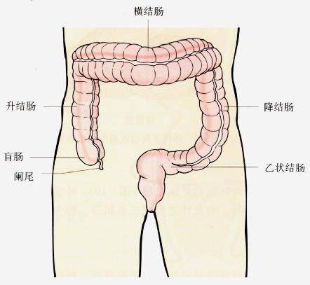 溃疡性结肠炎为什么低钾