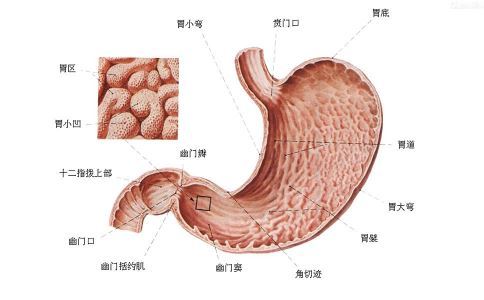 溃疡性结肠炎天气变冷会有影响么