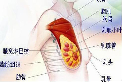 乳腺癌