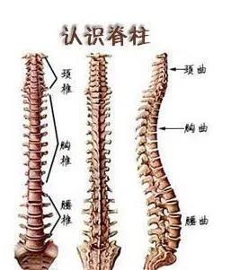 强直性脊柱炎是怎么样的情况