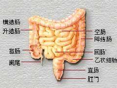 溃疡性结肠炎是否能吃鱼