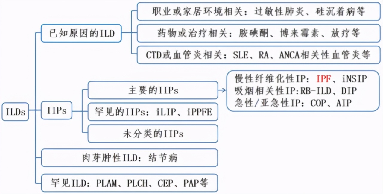 不可治愈慢性肺疾病，关注罕见病系列之特发性肺纤维化