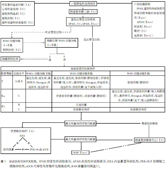 欧美肺动脉高压诊疗指南解读