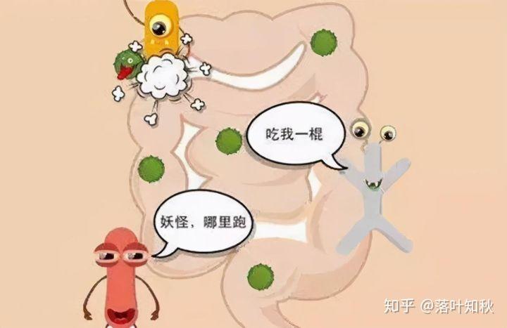 溃疡性结肠炎腹泻