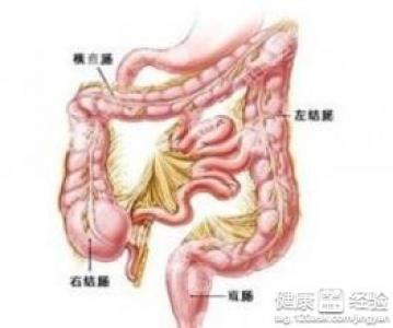 溃疡性结肠炎愈合症状