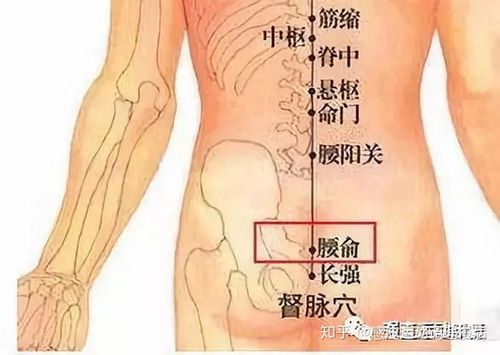 强直性脊柱炎肾的部位痛