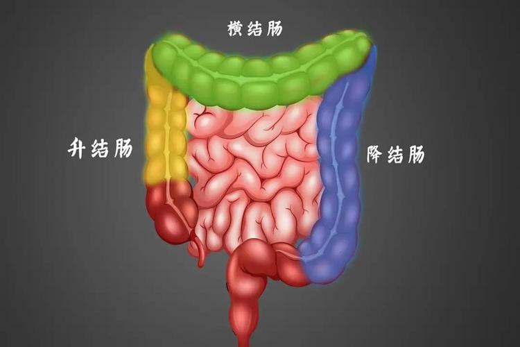 精神因素引起的溃疡性结肠炎