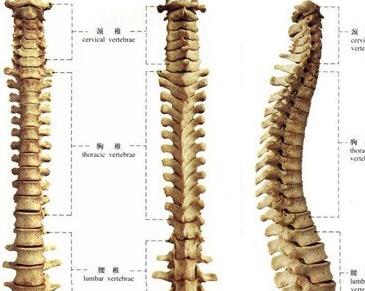 强直性脊柱炎高位截瘫死亡率