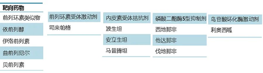 肺动脉高压靶向药物的规范化应用