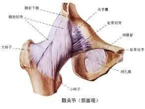 强直性脊柱炎会引起手脚关节痛吗