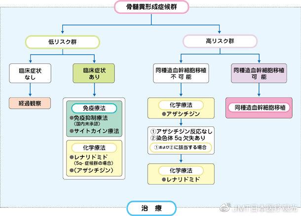 骨髓增生异常综合症