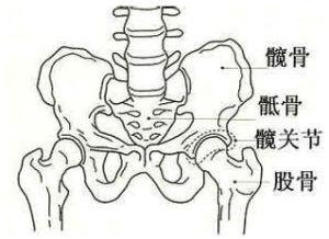 强直性脊柱炎哪个生物效果好