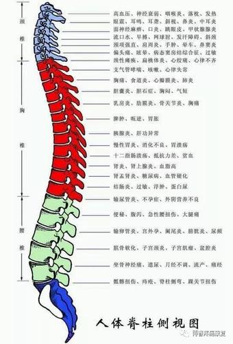 两侧足跟痛强直性脊柱炎