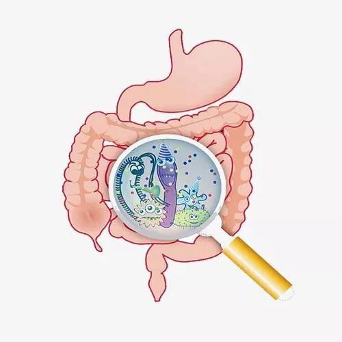 肠粘膜慢性炎溃疡性结肠炎