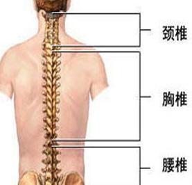 强直性脊柱炎手术矫正后多久下床