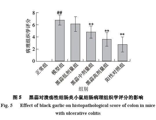 心脏病哮喘溃疡性结肠炎