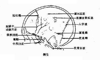 原发性中枢神经系统淋巴瘤