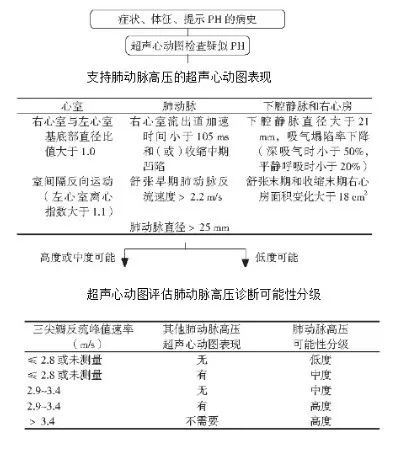 陈亚红：慢阻肺合并重度肺动脉高压的治疗丨CACP 2019