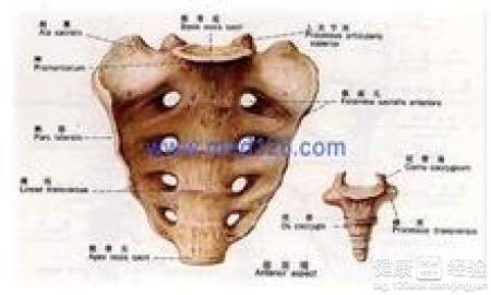 非强直性脊柱炎引起的骶骨关节炎
