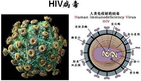 HIV并发症