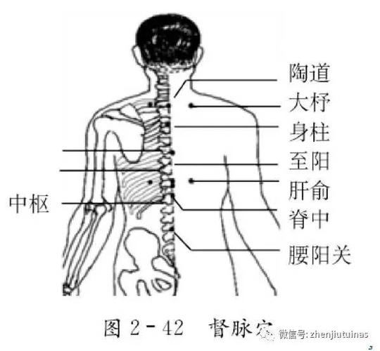 老年人强直性脊柱炎反映亭