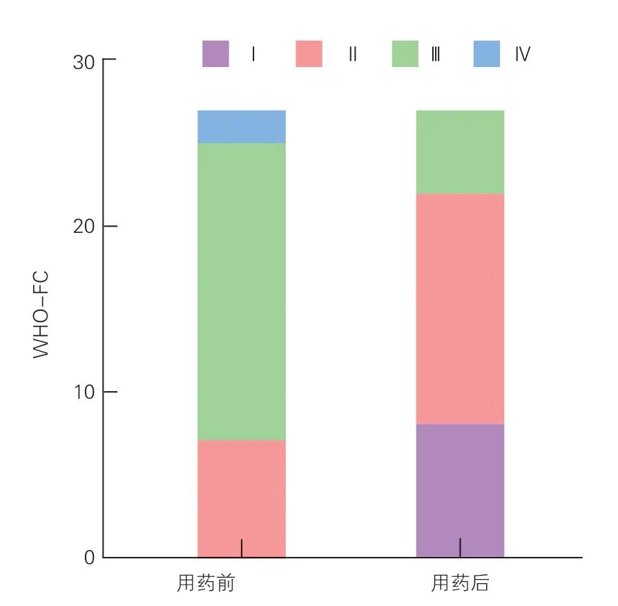 马昔腾坦治疗肺动脉高压的初步临床观察