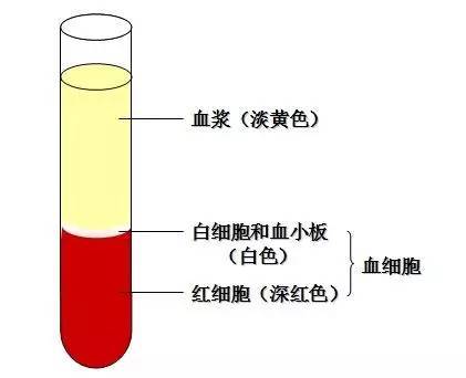 强直性脊柱炎血沉